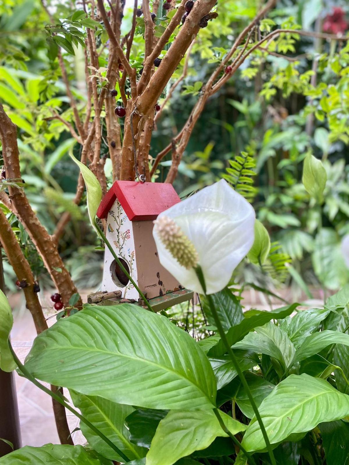Recanto Toca Das Plantas De Ilhabela II Værelse billede